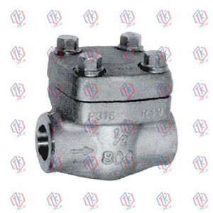 Swing Check valve