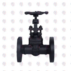 Forged steel flanged globe valve