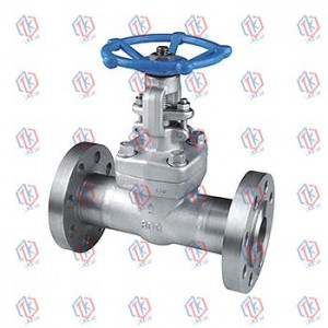 Z41Y-600LbP forged steel gate valve