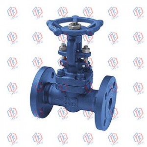 Z41Y-40I forged steel gate valve