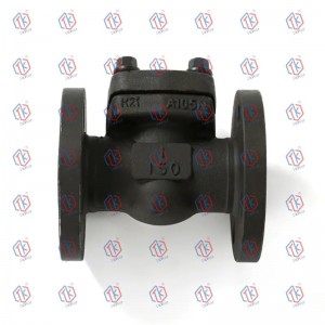 Forged Steel Flange Check Valves