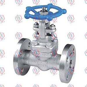 Z41Y-25 Forged steel – gate valve