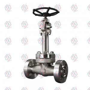 Cryogenic Gate Valves/Globe Valve