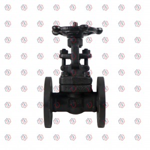 အတုပြုလုပ်ထားသော သံမဏိ Flange Gate Valve 150LB