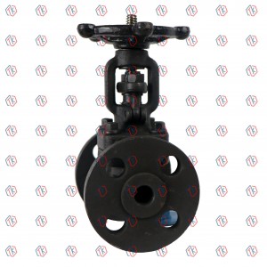 Forged steel Flange Gate Valve 150LB