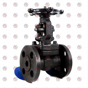 Forged steel Flange Gate Valve 150LB