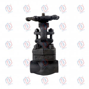 Forged steel gate valve(SW)