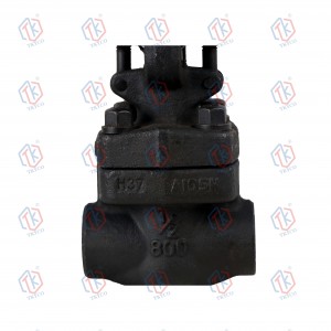 Forged steel gate valve(NPT)