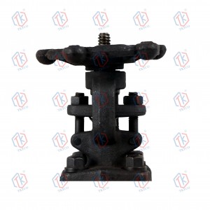 Forged steel gate valve(NPT)