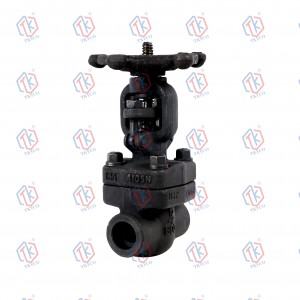 Forged steel gate valve(SW)