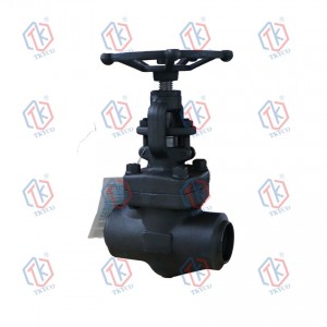 Forged Steel Globe Valve