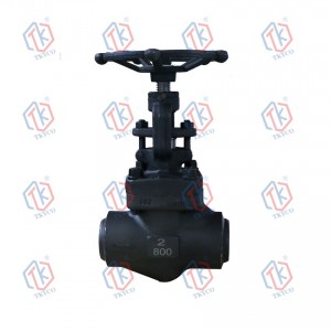 Forged Steel Globe Valve