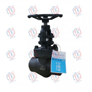 Forged Steel Globe Valve