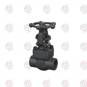 Forged steel gate valve(NPT)