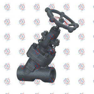 Y အမျိုးအစား Globe Valves