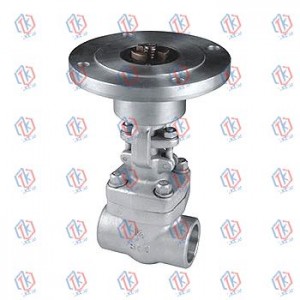 Electric Gate valve